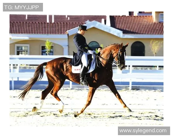 优雅与力量的结合最绅士的足球明星如何在绿茵场上展现风度与魅力 优雅与力量的结合最绅士的足球明星如何在绿茵场上展现风度与魅力