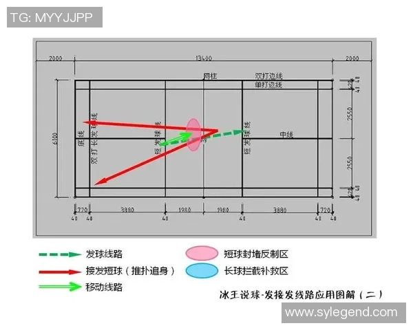 西安羽毛球队在锦标赛中的战术分析与表现评估