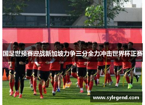 国足世预赛迎战新加坡力争三分全力冲击世界杯正赛