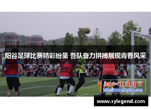 阳谷足球比赛精彩纷呈 各队奋力拼搏展现青春风采